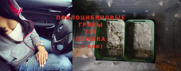 мяу мяу мука Новокубанск