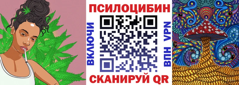 Псилоцибиновые грибы мухоморы  где купить наркоту  Правдинск 